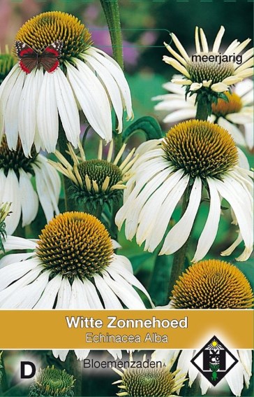Zonnehoed wit (Echinacea purpurea) 150 zaden